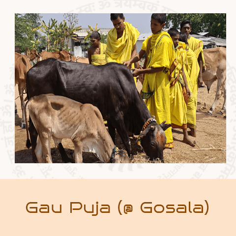 Gau Puja (Goshala)